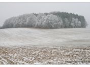 Krajina
