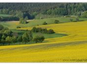 Krajina